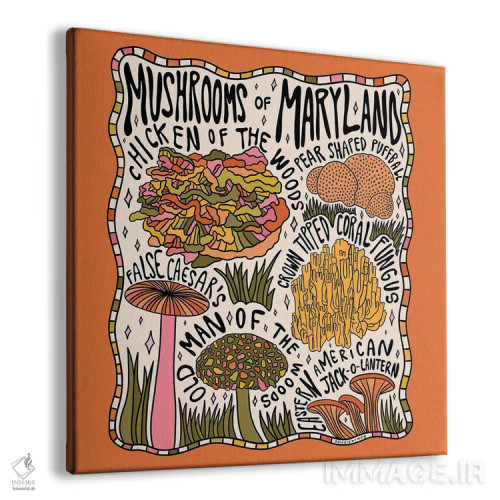 تابلو قارچهای مریلند اثر دودل بای مگ (استودیوی هنری) - نمای پرسپکتیو محصول