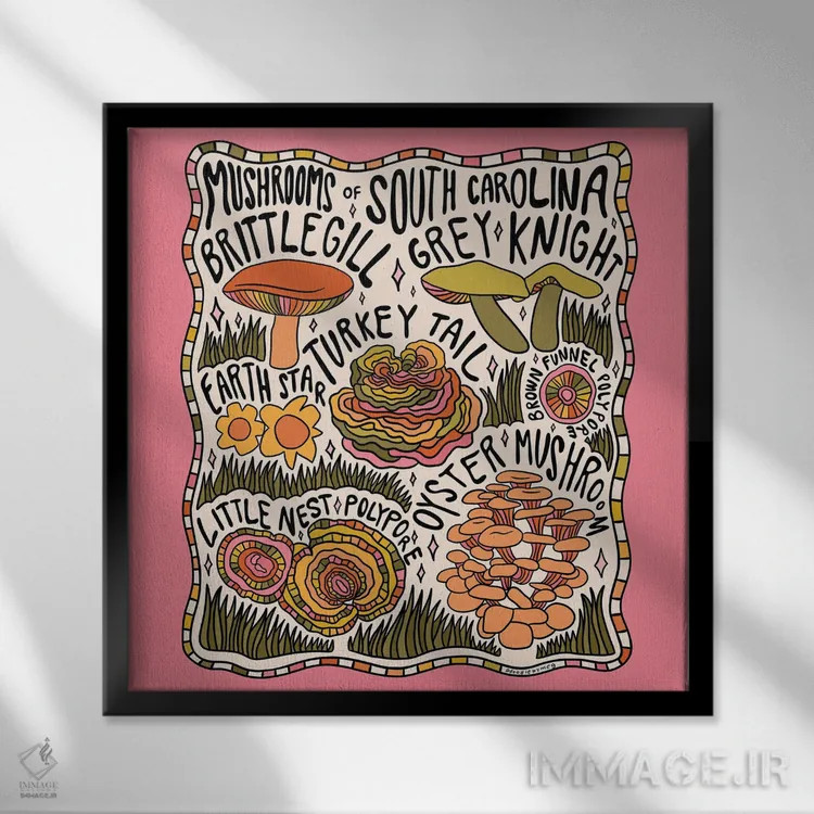 تابلو قارچهای کارولینای جنوبی اثر دودل بای مگ (استودیوی هنری) - نمای قابدار مشکی