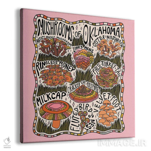 تابلو قارچهای اوکلاهما اثر دودل بای مگ (استودیوی هنری) - نمای پرسپکتیو محصول
