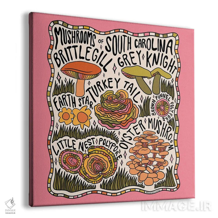 تابلو قارچهای کارولینای جنوبی اثر دودل بای مگ (استودیوی هنری) - نمای پرسپکتیو محصول