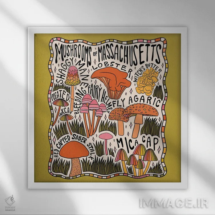 تابلو قارچهای ماساچوست اثر دودل بای مگ (استودیوی هنری) - نمای قابدار سفید