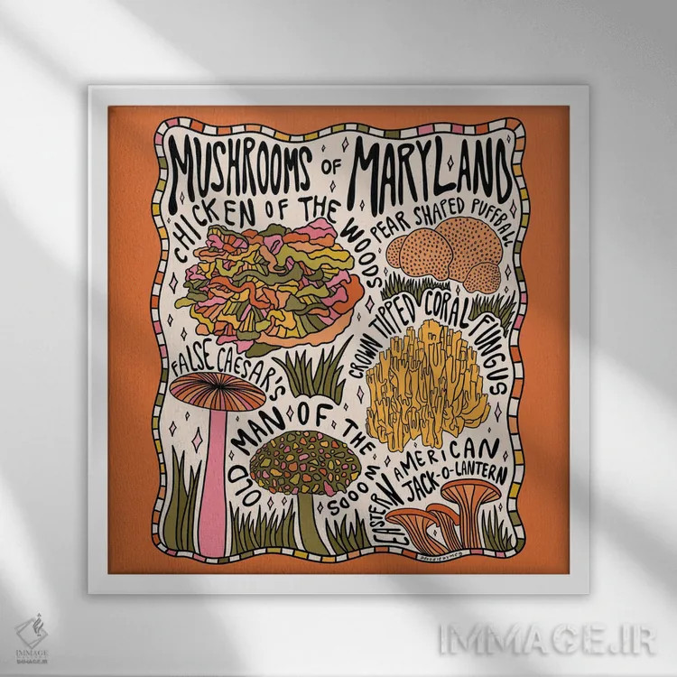 تابلو قارچهای مریلند اثر دودل بای مگ (استودیوی هنری) - نمای قابدار سفید