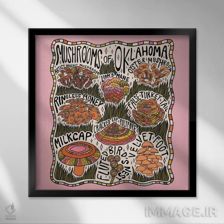 تابلو قارچهای اوکلاهما اثر دودل بای مگ (استودیوی هنری) - نمای قابدار مشکی