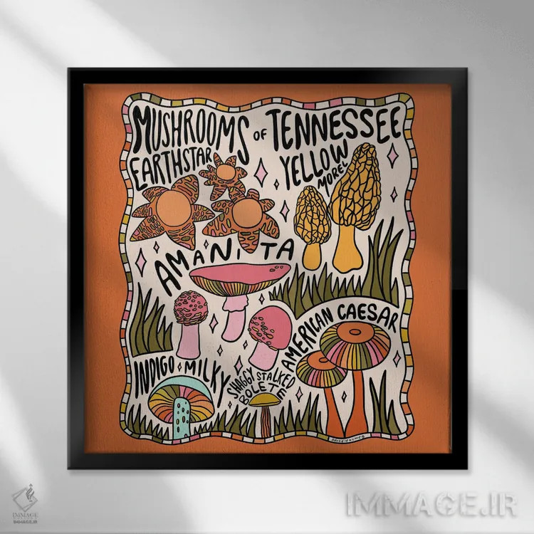 تابلو قارچهای تنسی اثر دودل بای مگ (استودیوی هنری) - نمای قابدار مشکی