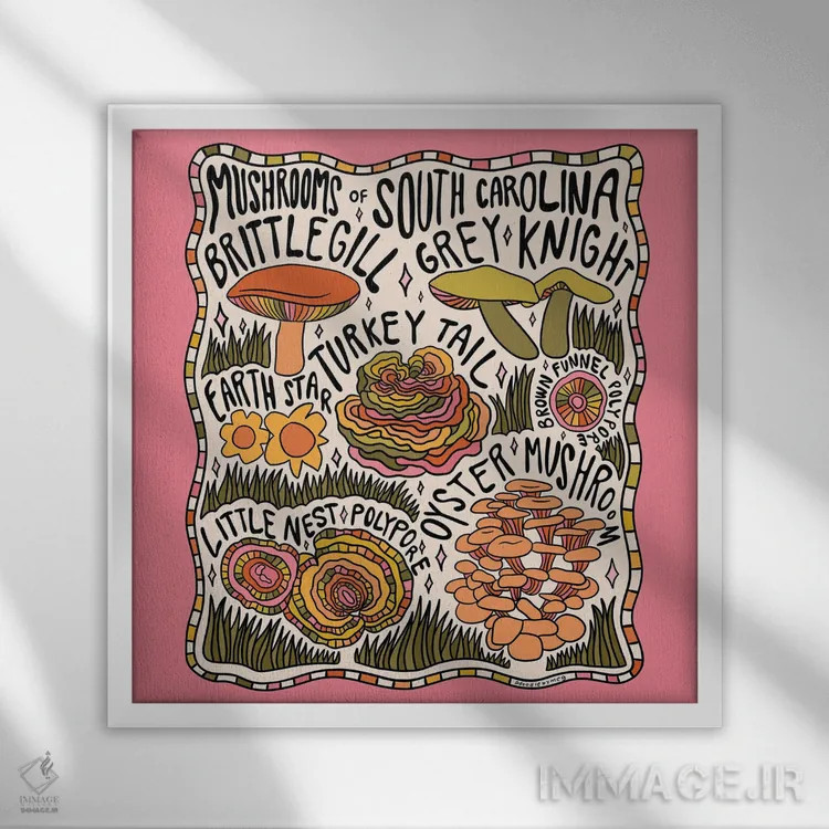 تابلو قارچهای کارولینای جنوبی اثر دودل بای مگ (استودیوی هنری) - نمای قابدار سفید