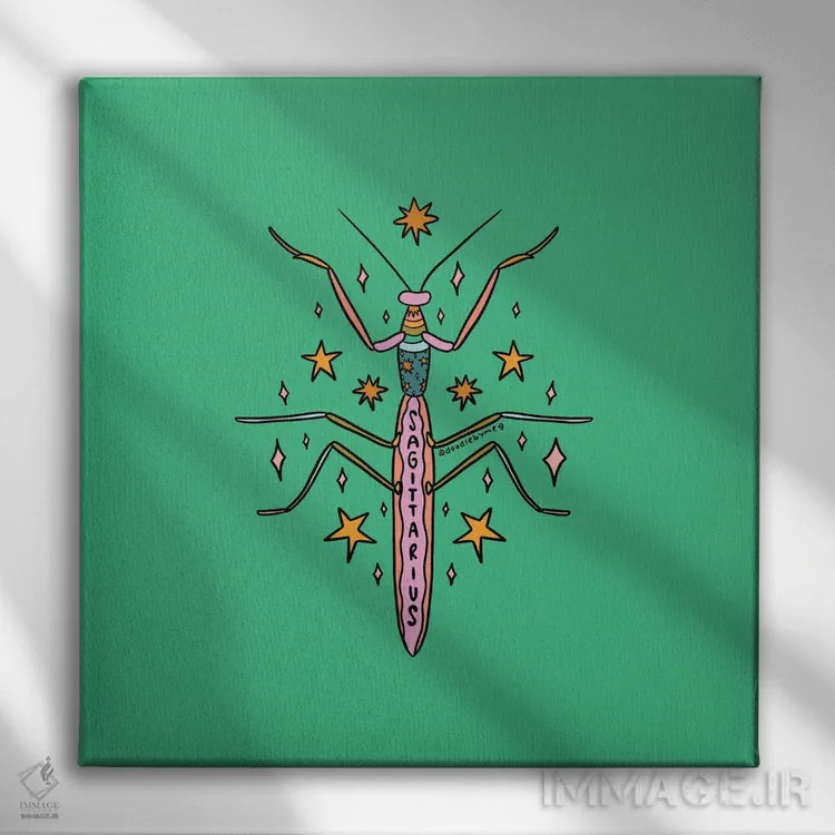 تابلو آخوندک صورت فلکی قوس اثر دودل بای مگ (استودیوی هنری) - نمای روبهرو روی دیوار