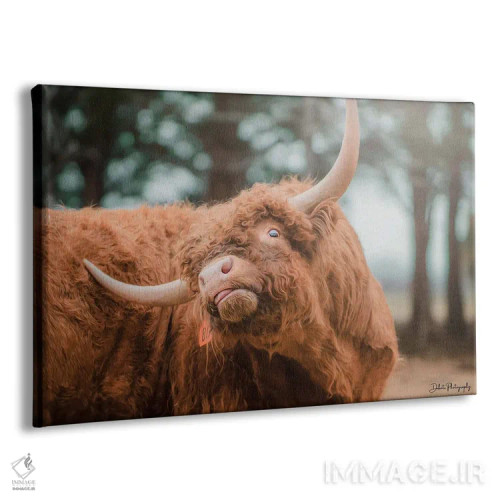 تابلو خارش ارتفاعات (طرح طنزگونه) اثر دکوتا باورر - نمای پرسپکتیو محصول