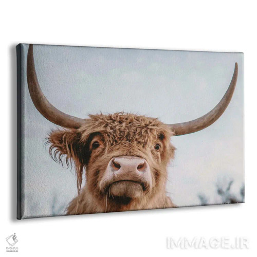 تابلو سلفی ارتفاعات اثر دکوتا باورر - نمای پرسپکتیو محصول