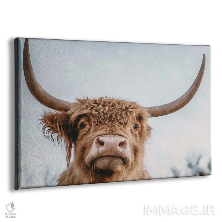 تابلو سلفی ارتفاعات اثر دکوتا باورر - نمای پرسپکتیو محصول