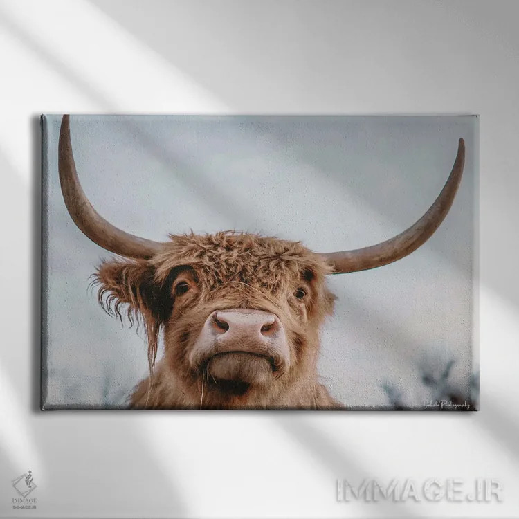 تابلو سلفی ارتفاعات اثر دکوتا باورر - نمای روبهرو روی دیوار