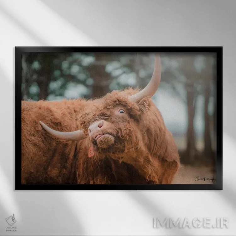 تابلو خارش ارتفاعات (طرح طنزگونه) اثر دکوتا باورر - نمای قابدار مشکی