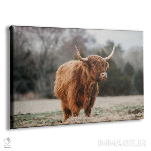 تابلو گاو مادر اثر دکوتا باورر - نمای پرسپکتیو محصول