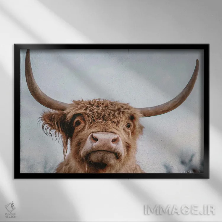 تابلو سلفی ارتفاعات اثر دکوتا باورر - نمای قابدار مشکی