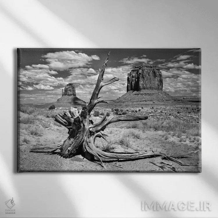 تابلو منظرهٔ بیابان سیاه و سفید V اثر دیوید دروست - نمای روبهرو روی دیوار