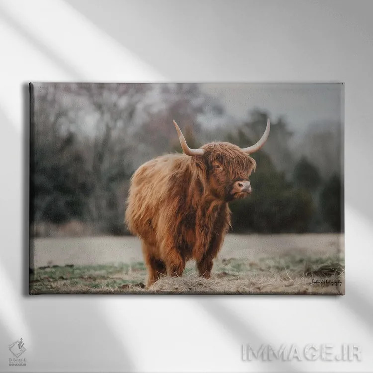 تابلو گاو مادر اثر دکوتا باورر - نمای روبهرو روی دیوار