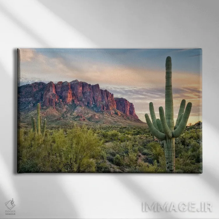 تابلو نمای کاکتوسها II اثر دیوید دروست - نمای روبهرو روی دیوار