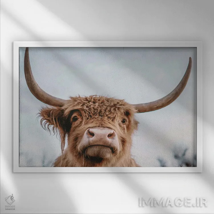 تابلو سلفی ارتفاعات اثر دکوتا باورر - نمای قابدار سفید