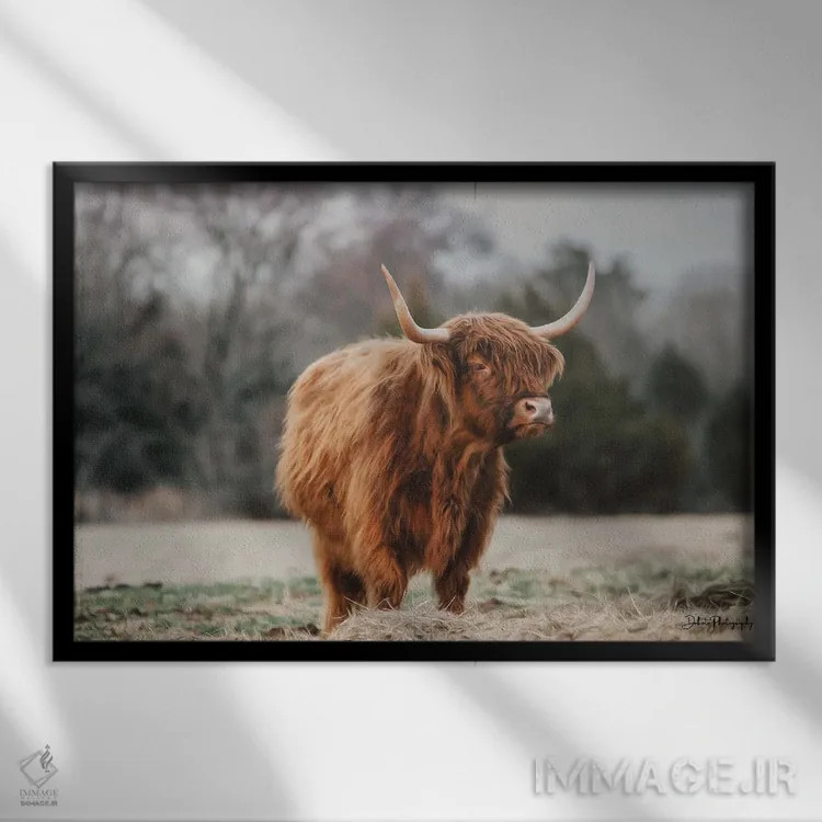 تابلو گاو مادر اثر دکوتا باورر - نمای قابدار مشکی