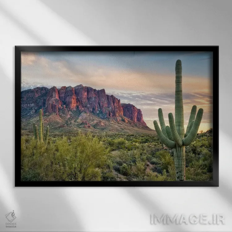 تابلو نمای کاکتوسها II اثر دیوید دروست - نمای قابدار مشکی