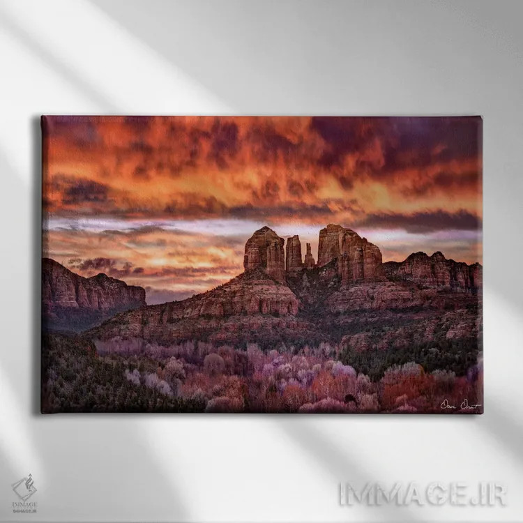 تابلو گل نیلوفر صورتی IV اثر دیوید دروست - نمای روبهرو روی دیوار