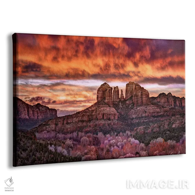 تابلو گل نیلوفر صورتی IV اثر دیوید دروست - نمای پرسپکتیو محصول