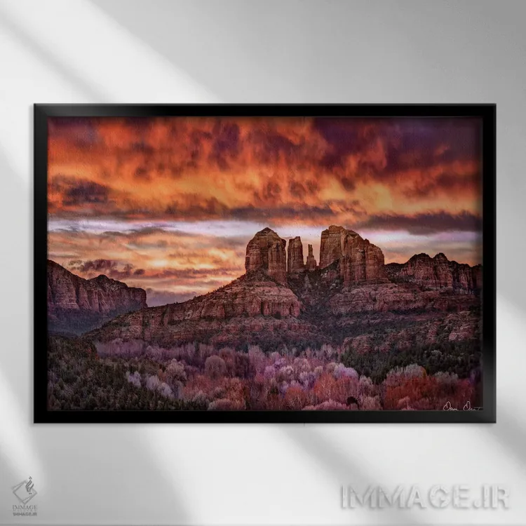 تابلو گل نیلوفر صورتی IV اثر دیوید دروست - نمای قابدار مشکی