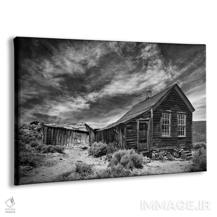 تابلو منظرهٔ بیابان سیاه و سفید III اثر دیوید دروست - نمای پرسپکتیو محصول