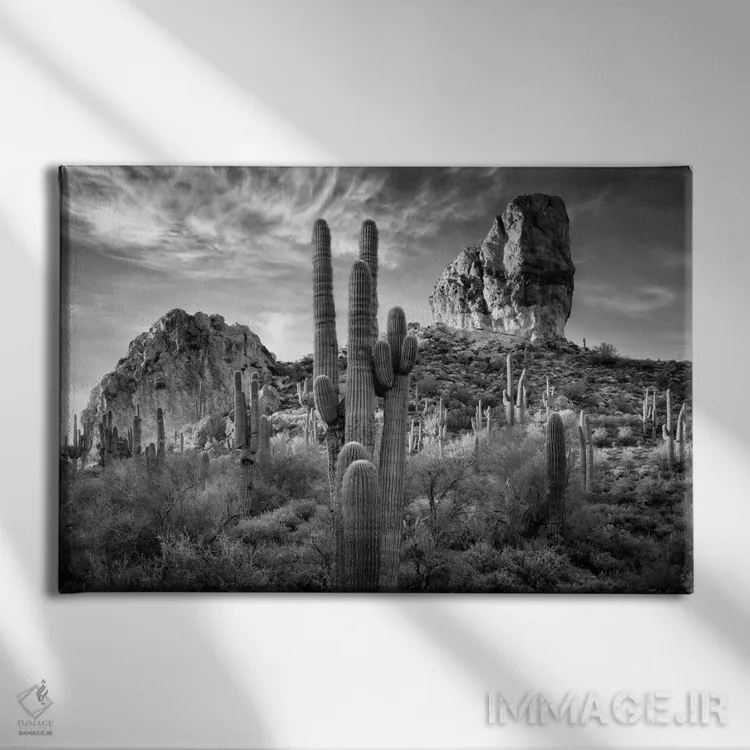 تابلو منظرهٔ بیابان سیاه و سفید I اثر دیوید دروست - نمای روبهرو روی دیوار