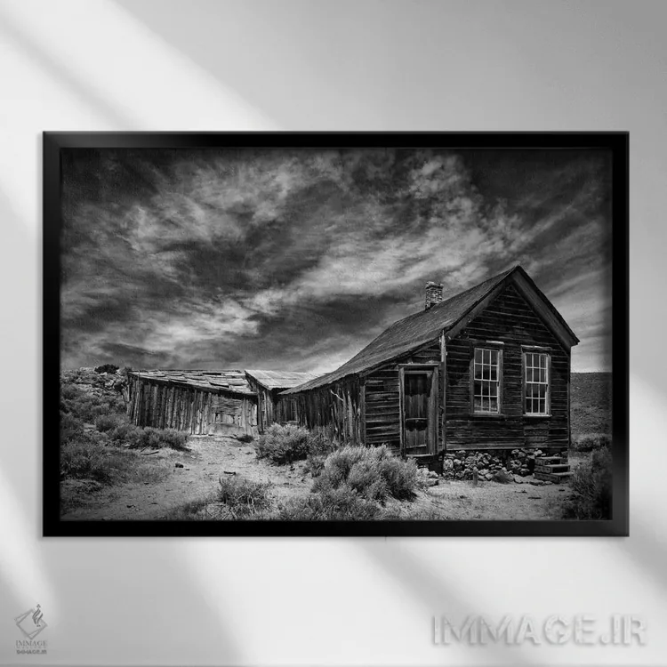 تابلو منظرهٔ بیابان سیاه و سفید III اثر دیوید دروست - نمای قابدار مشکی