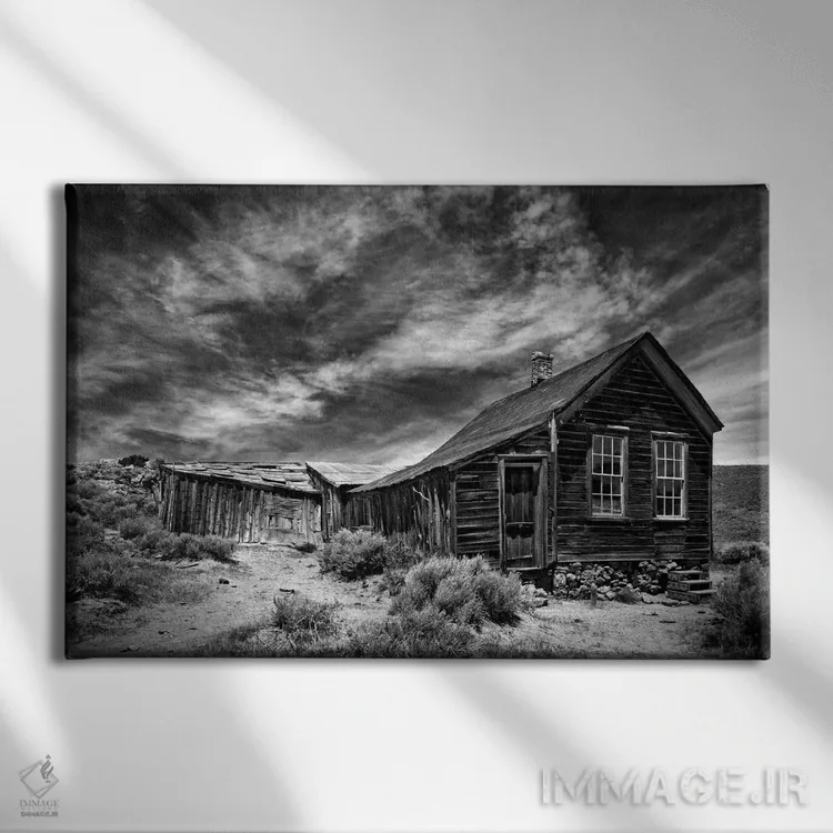 تابلو منظرهٔ بیابان سیاه و سفید III اثر دیوید دروست - نمای روبهرو روی دیوار