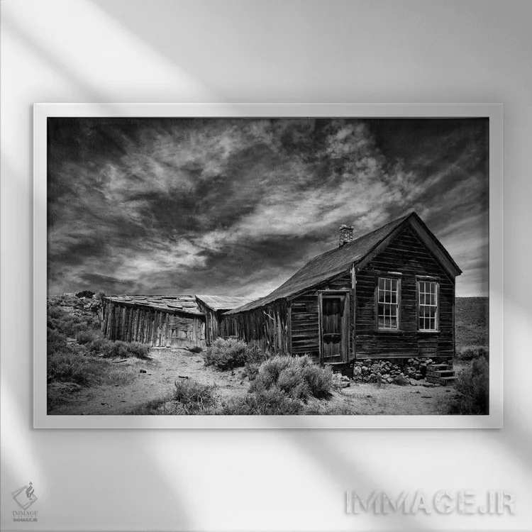 تابلو منظرهٔ بیابان سیاه و سفید III اثر دیوید دروست - نمای قابدار سفید