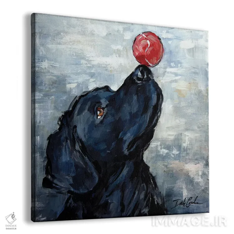 تابلو شعبده و تمرکز اثر دبی کولز - نمای پرسپکتیو محصول