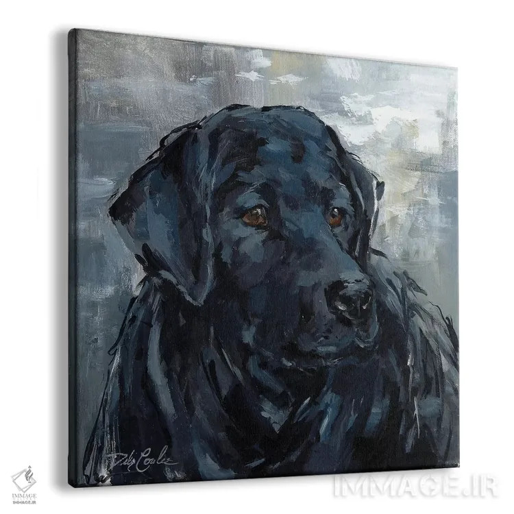 تابلو لابرادو وفادار (سگ) اثر دبی کولز - نمای پرسپکتیو محصول