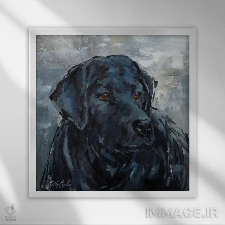 تابلو لابرادو وفادار (سگ) اثر دبی کولز - نمای قابدار سفید