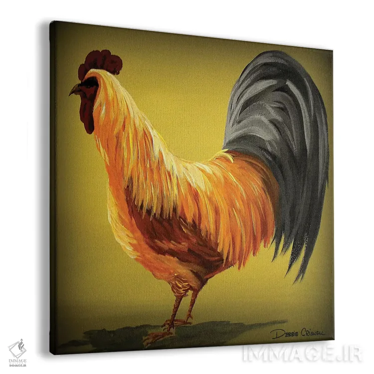 تابلو بوم و پوستر دیواری طرح «Rooster» اثر Debbie Criswell - نمای پرسپکتیو محصول