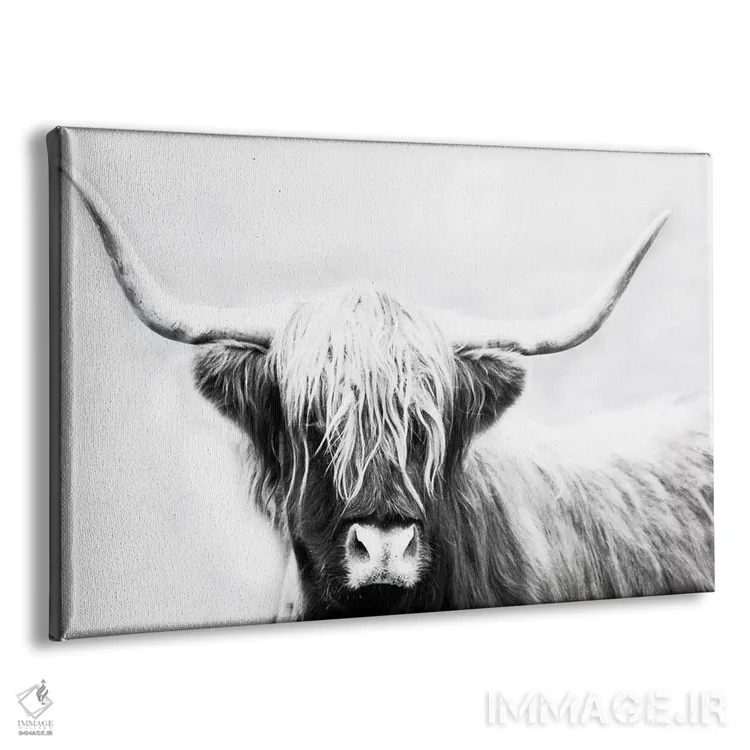 تابلو گاو شاخبلند هایلند اثر دانیتا دلیمنت - نمای پرسپکتیو محصول