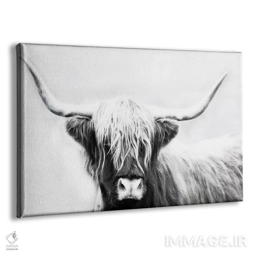 تابلو گاو شاخبلند هایلند اثر دانیتا دلیمنت - نمای پرسپکتیو محصول