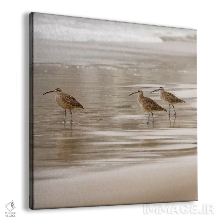 تابلو پرندگان ساحلی یک اثر دانیتا دلیمنت - نمای پرسپکتیو محصول