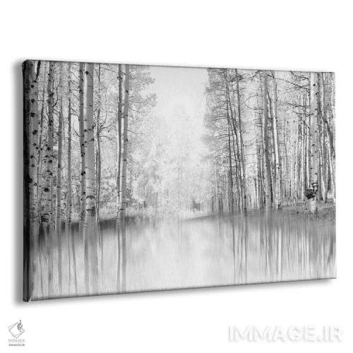 تابلو انعکاس آسپن اثر دانیتا دلیمنت - نمای پرسپکتیو محصول