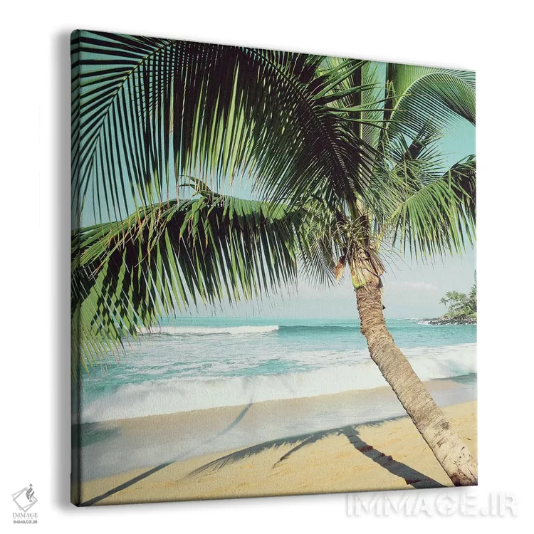 تابلو ساحل نپیلی اثر دانیتا دلیمنت - نمای پرسپکتیو محصول