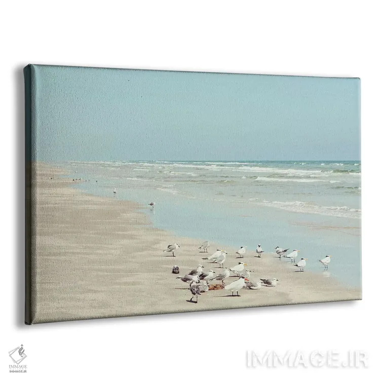 تابلو پرندگان ساحل جزیره پادره اثر دانیتا دلیمنت - نمای پرسپکتیو محصول