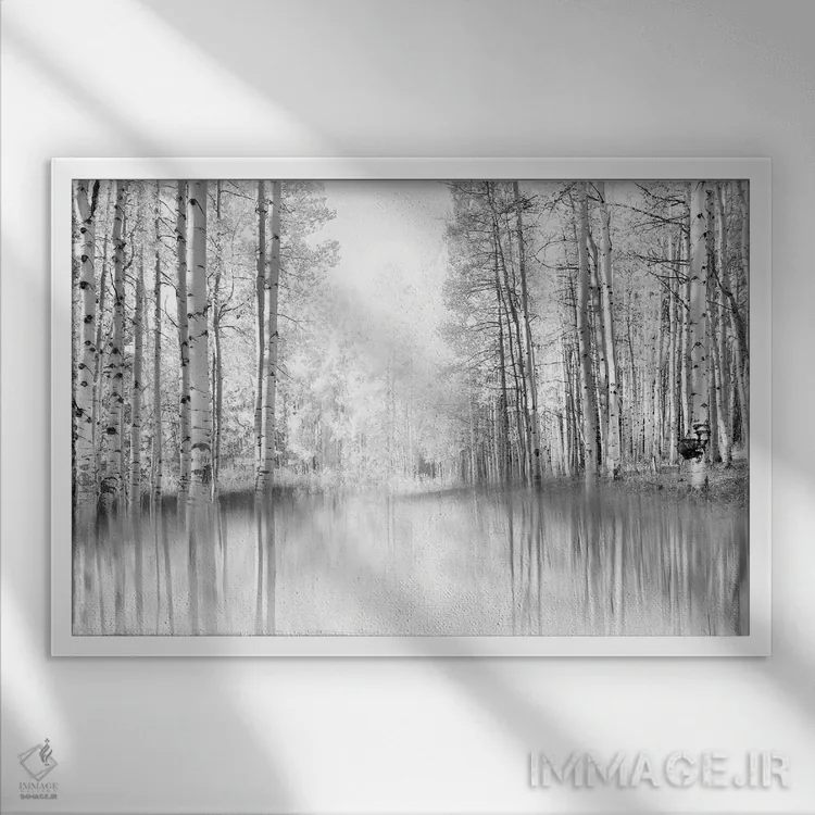 تابلو انعکاس آسپن اثر دانیتا دلیمنت - نمای قابدار سفید