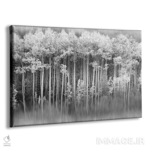 تابلو آسپن رویایی اثر دانیتا دلیمنت - نمای پرسپکتیو محصول