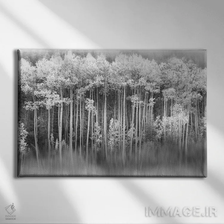 تابلو آسپن رویایی اثر دانیتا دلیمنت - نمای روبهرو روی دیوار