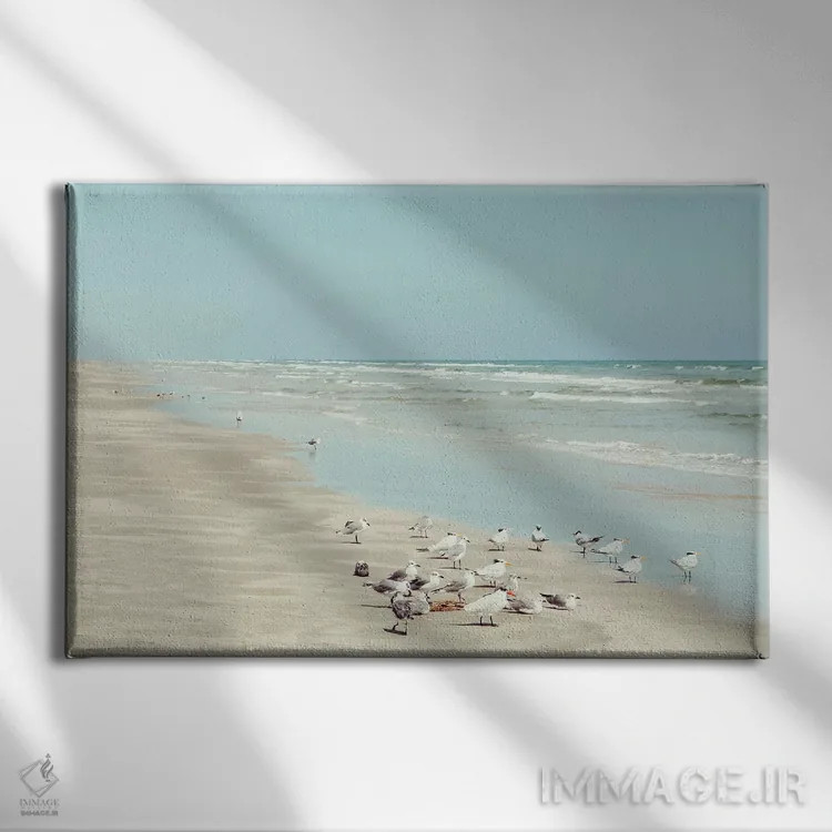 تابلو پرندگان ساحل جزیره پادره اثر دانیتا دلیمنت - نمای روبهرو روی دیوار