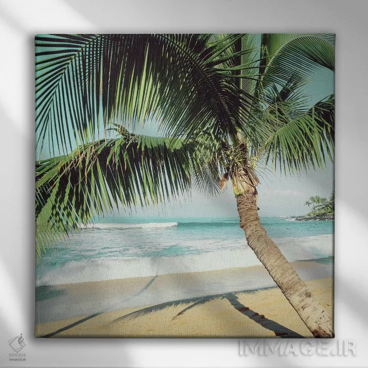 تابلو ساحل نپیلی اثر دانیتا دلیمنت - نمای روبهرو روی دیوار