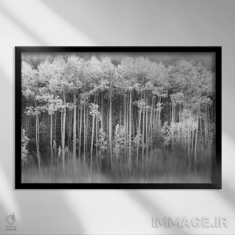 تابلو آسپن رویایی اثر دانیتا دلیمنت - نمای قابدار مشکی