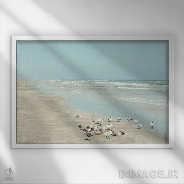 تابلو پرندگان ساحل جزیره پادره اثر دانیتا دلیمنت - نمای قابدار سفید