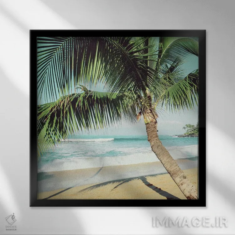 تابلو ساحل نپیلی اثر دانیتا دلیمنت - نمای قابدار مشکی