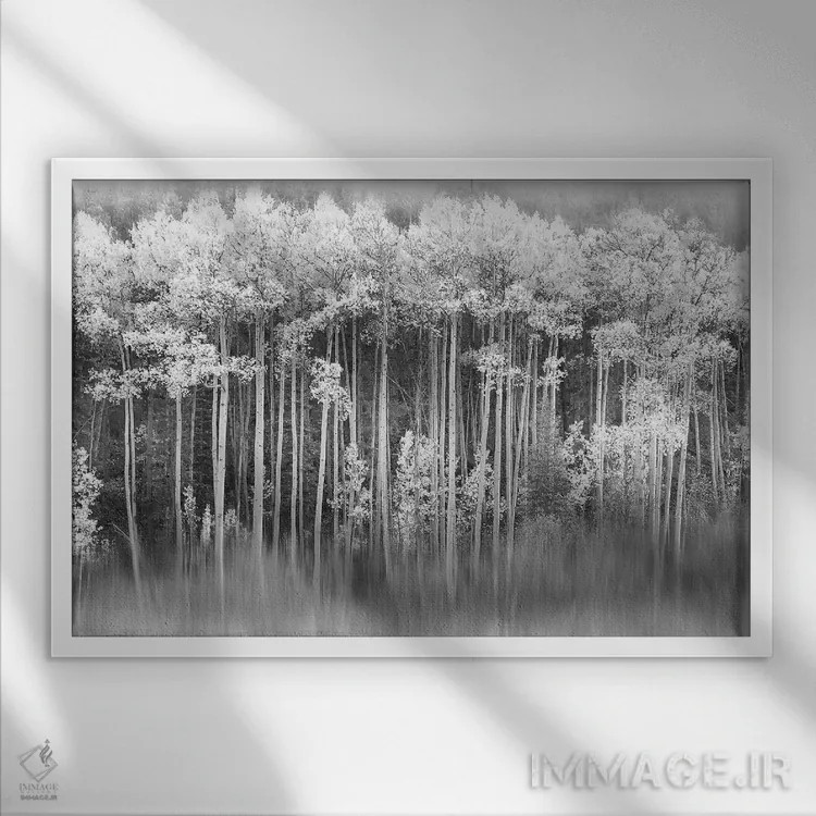 تابلو آسپن رویایی اثر دانیتا دلیمنت - نمای قابدار سفید